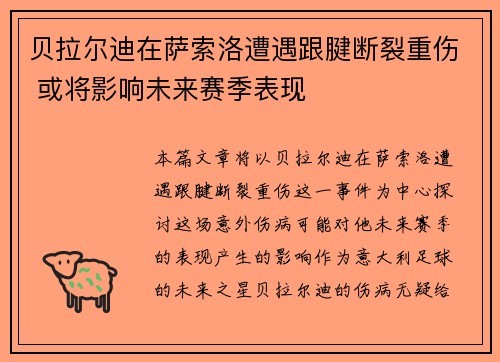贝拉尔迪在萨索洛遭遇跟腱断裂重伤 或将影响未来赛季表现 贝拉尔迪在萨索洛遭遇跟腱断裂重伤 或将影响未来赛季表现
